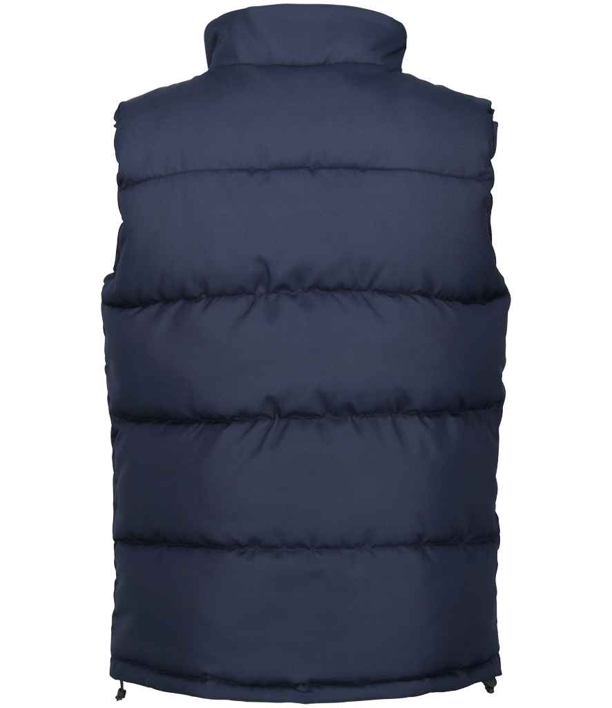 Regatta Northdale Insulated Bodywarmer - BACK