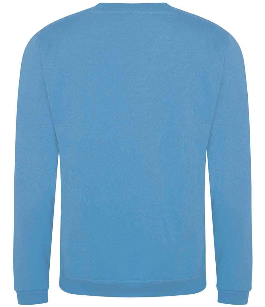 Pro RTX Pro Sweatshirt - Sky Blue - back
