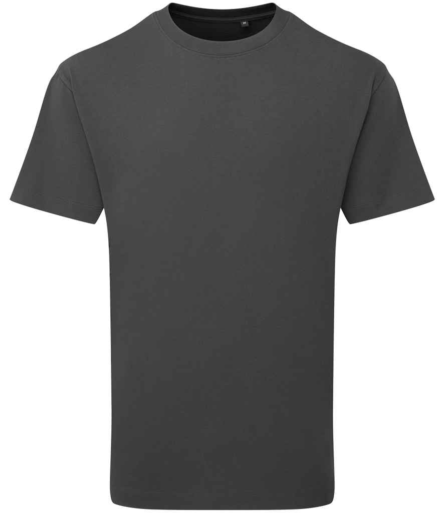 Anthem Anthem Unisex Organic Heavyweight T-Shirt - Carbon (AM15)