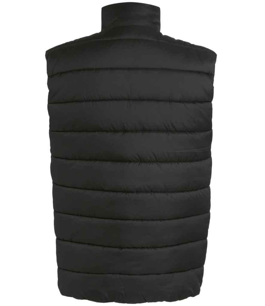 Regatta Navigate Thermal Bodywarmer - BACK
