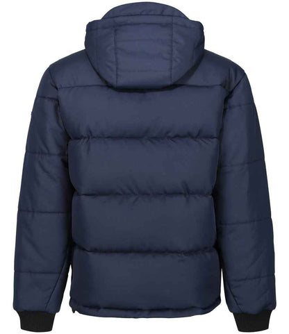Regatta Northdale Insulated Jacket - BACK