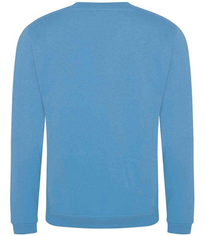 Pro RTX Pro Sweatshirt - Sky Blue - back