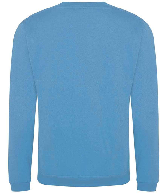 Pro RTX Pro Sweatshirt - Sky Blue - back