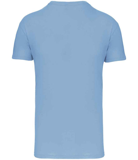 KB3025IC Sky Blue (1)