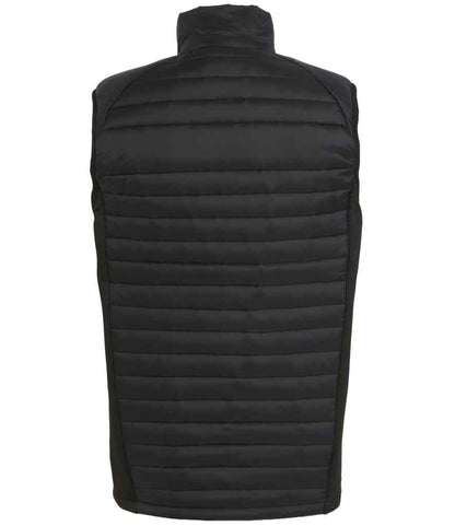 Regatta Navigate Hybrid Bodywarmer - BACK
