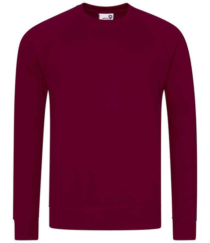 AWDis Academy Senior Raglan Sweatshirt - Burgundy (AC001)