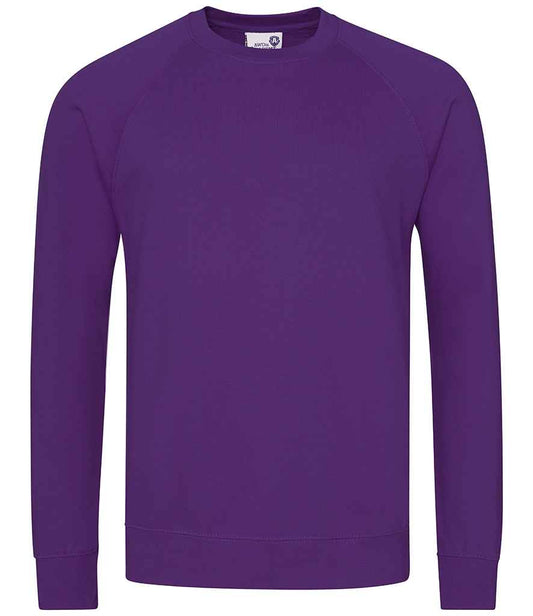 AWDis Academy Senior Raglan Sweatshirt - Purple (AC001)