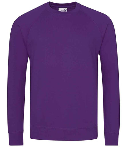 AWDis Academy Senior Raglan Sweatshirt - Purple (AC001)