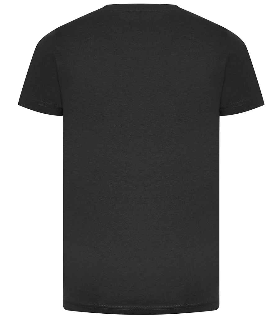 Ecologie Ecologie Kids Cascades Organic T-Shirt - Charcoal (EA001B)