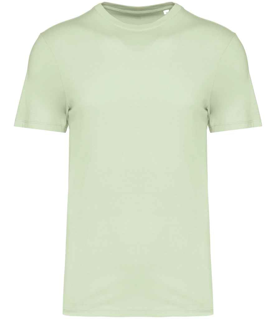 native spirit native spirit unisex t-shirt - celadon green (ns300)