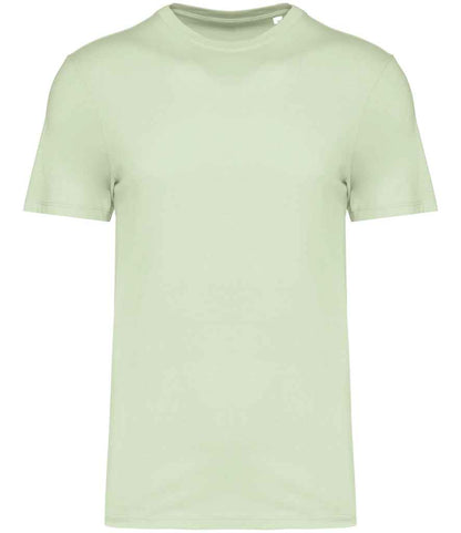 native spirit native spirit unisex t-shirt - celadon green (ns300)