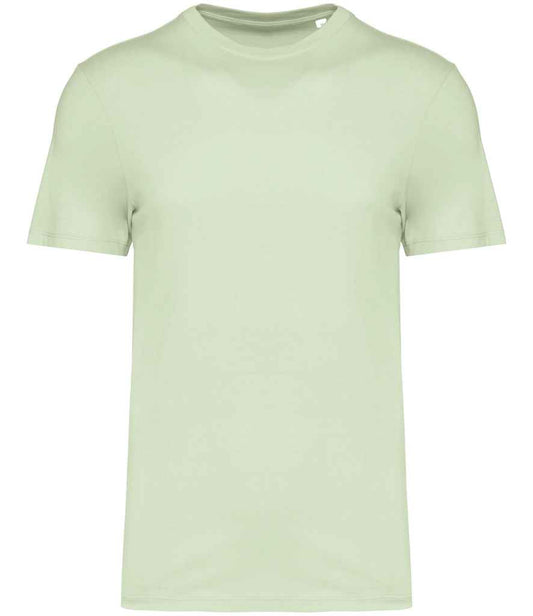 native spirit native spirit unisex t-shirt - celadon green (ns300)
