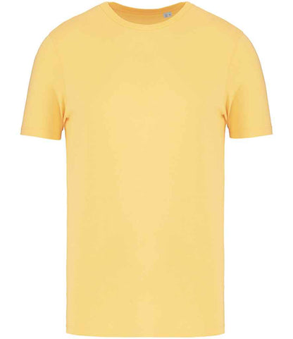 native spirit native spirit unisex t-shirt - pineapple (ns300)