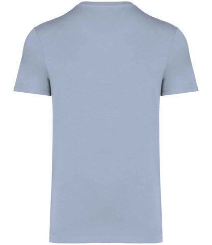 native spirit native spirit unisex heavyweight t-shirt - aquamarine (ns305)