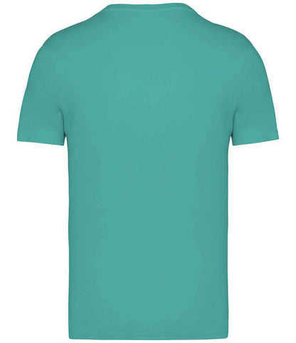 native spirit native spirit unisex heavyweight t-shirt - gemstone green (ns305)