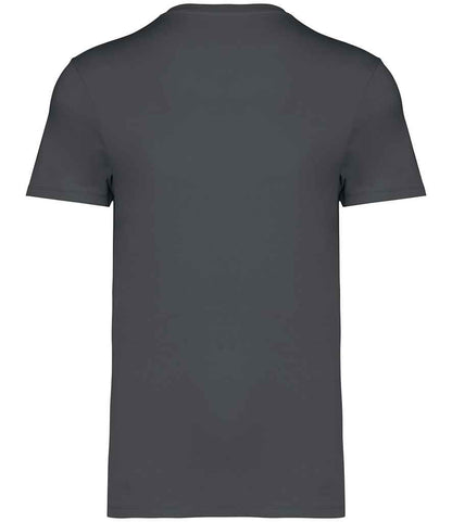 native spirit native spirit unisex heavyweight t-shirt - iron grey (ns305)