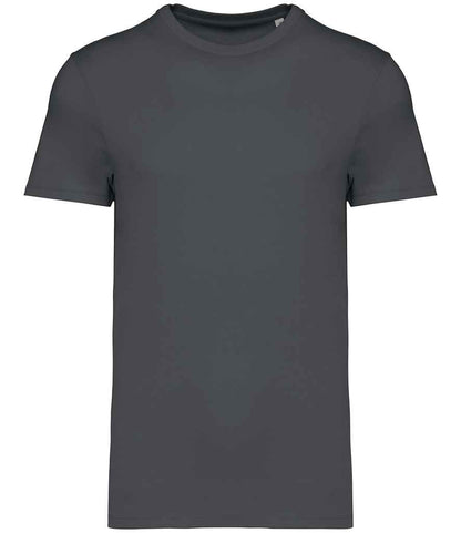 native spirit native spirit unisex heavyweight t-shirt - iron grey (ns305)