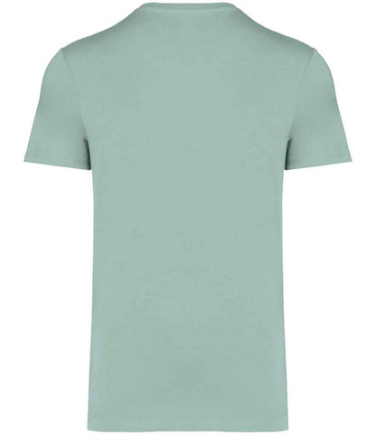 native spirit native spirit unisex heavyweight t-shirt - jade green (ns305)