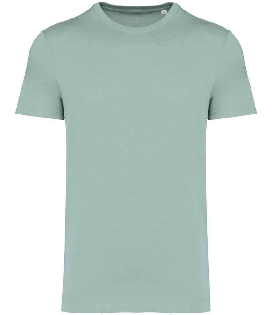 native spirit native spirit unisex heavyweight t-shirt - jade green (ns305)