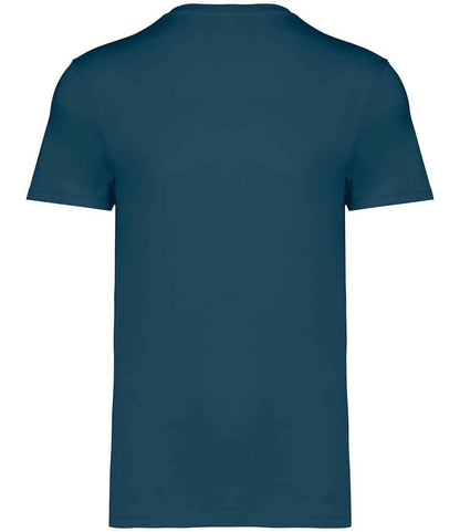 native spirit native spirit unisex heavyweight t-shirt - peacock blue (ns305)