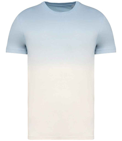 native spirit native spirit unisex dip dye t-shirt - dip dye aquamarine (ns345)