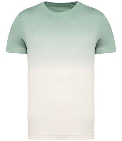 native spirit native spirit unisex dip dye t-shirt - dip dye jade green (ns345)