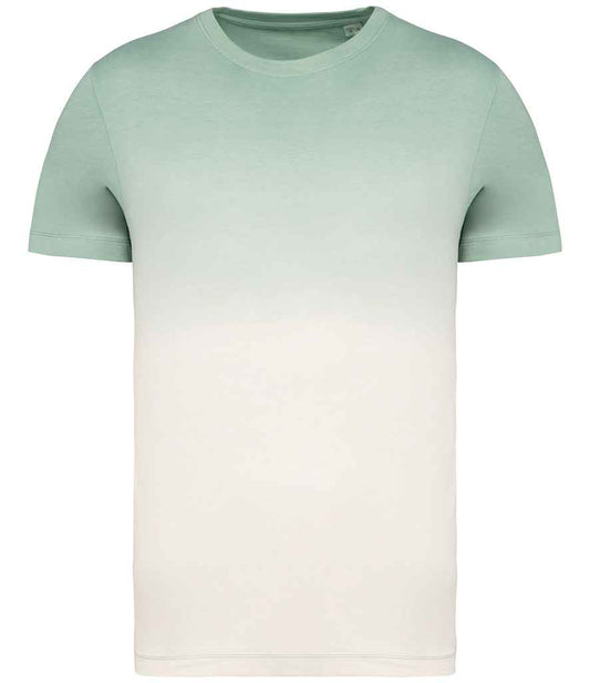native spirit native spirit unisex dip dye t-shirt - dip dye jade green (ns345)