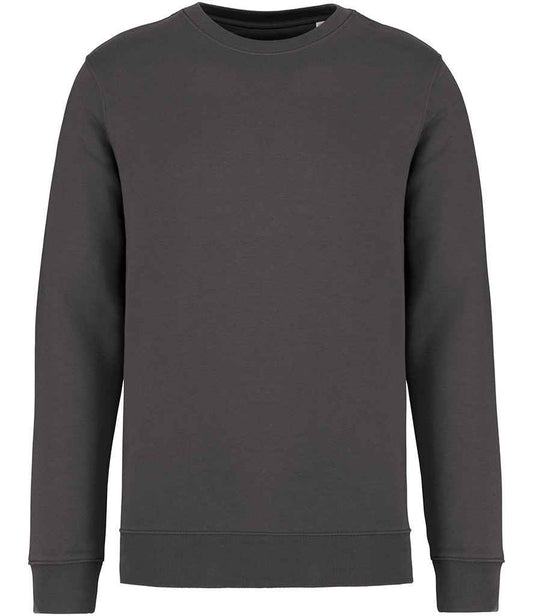 native spirit native spirit unisex crew neck sweatshirt - iron grey (ns400)