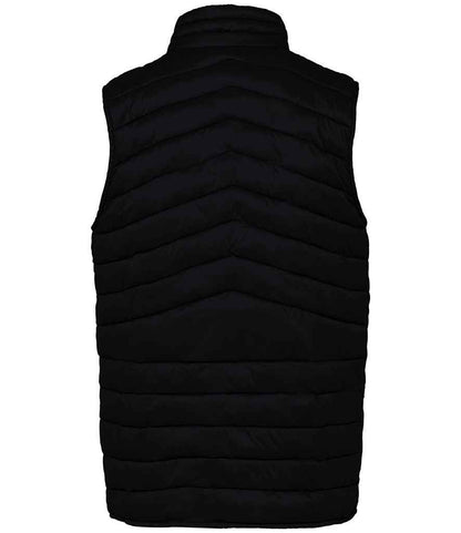 native spirit native spirit light recycled bodywarmer - black (ns6005)