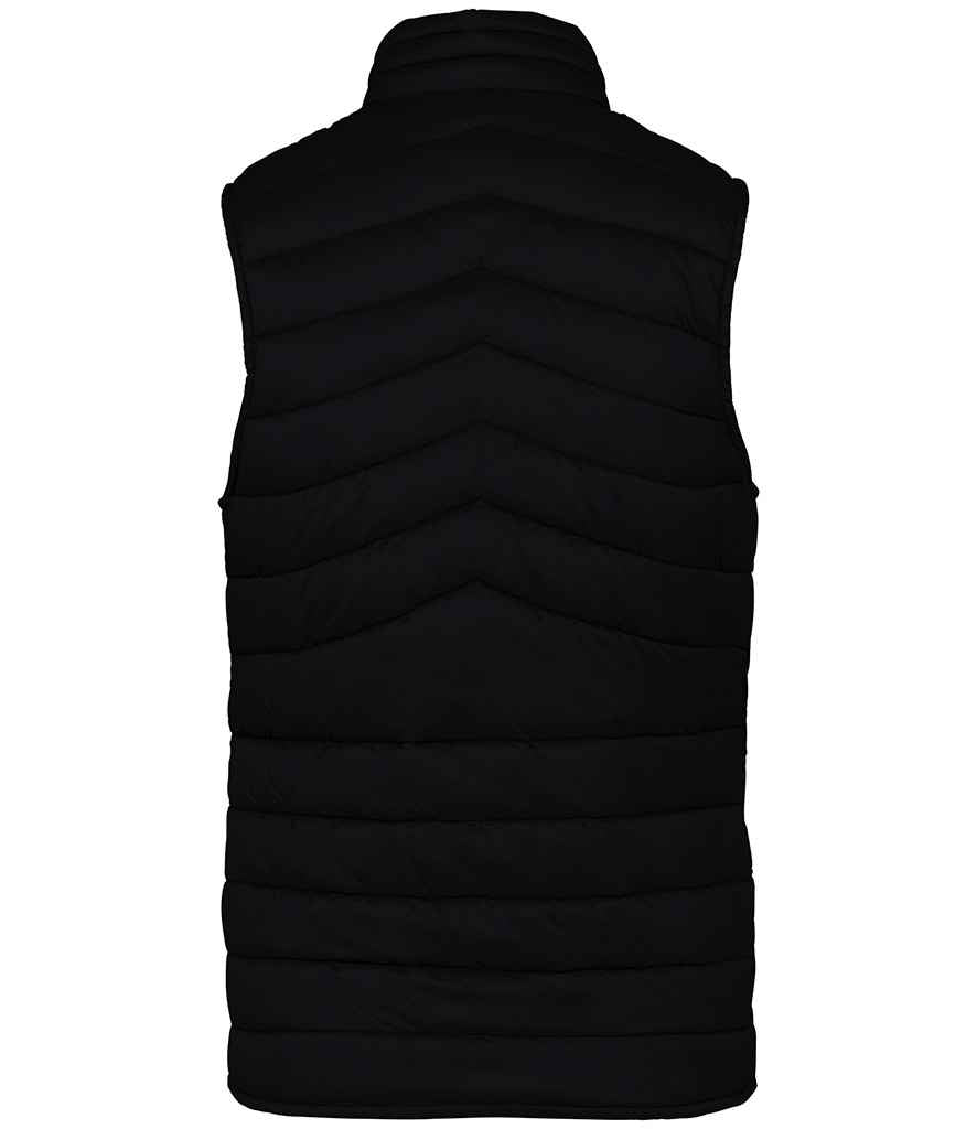 native spirit native spirit ladies light recycled bodywarmer - black (ns6006)