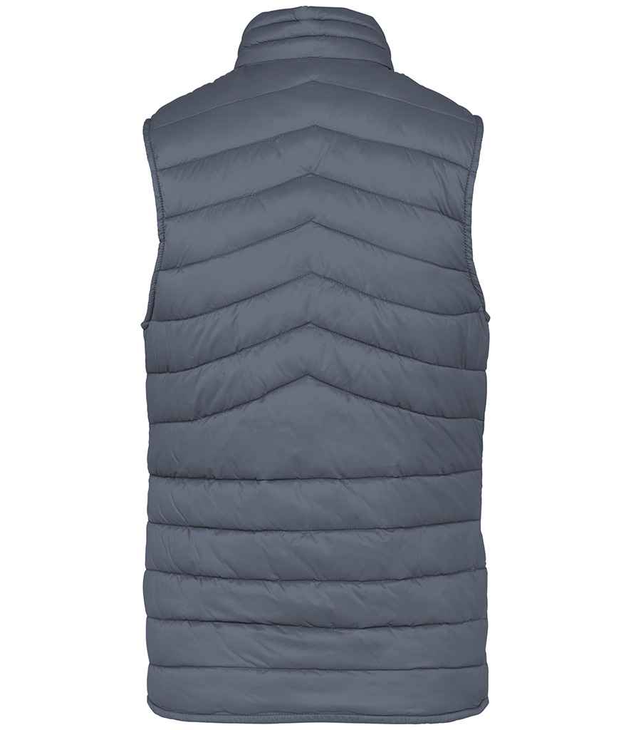 native spirit native spirit ladies light recycled bodywarmer - mineral grey (ns6006)
