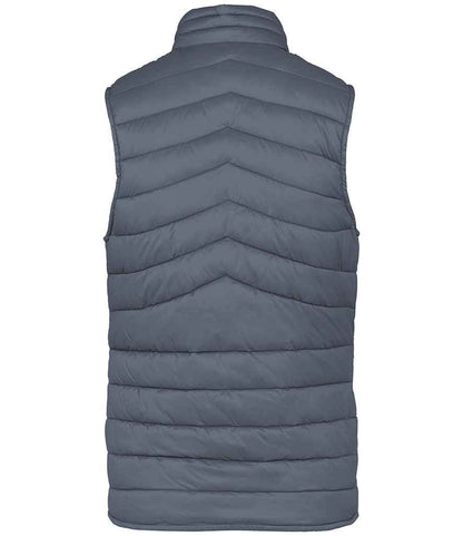 native spirit native spirit ladies light recycled bodywarmer - mineral grey (ns6006)