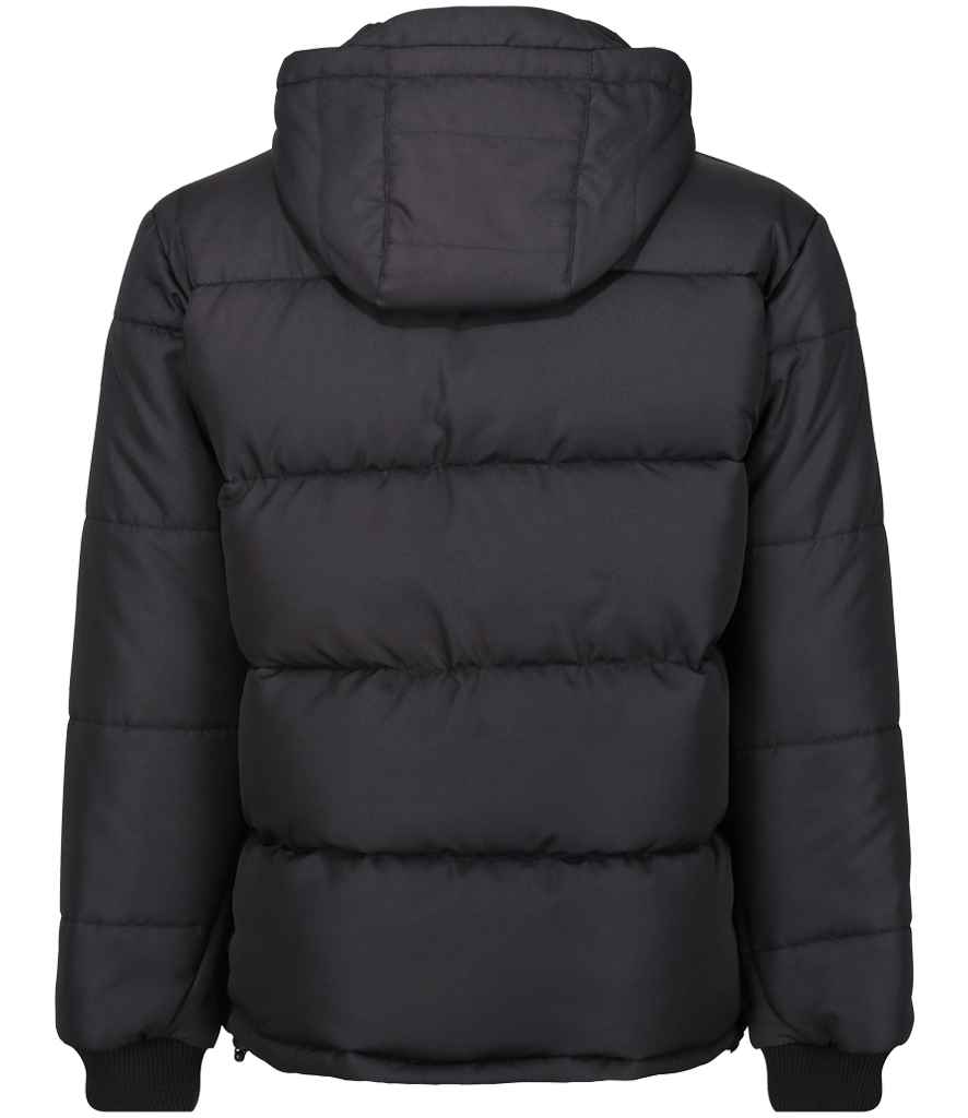 Regatta Northdale Insulated Jacket (RG448)