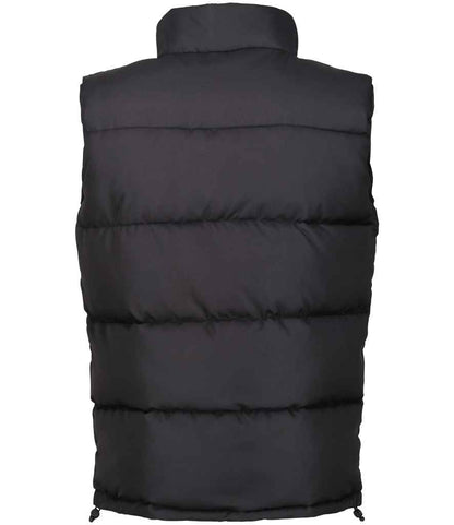 Regatta Northdale Insulated Bodywarmer (RG449)
