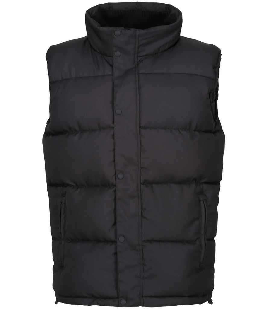 Regatta Northdale Insulated Bodywarmer (RG449)
