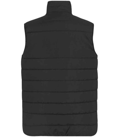 Regatta Essential Thermal Bodywarmer (RG652)